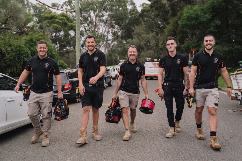 Professional electrical services in North Rocks
